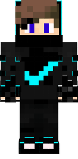 333333333