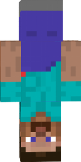 Upside Down Steve