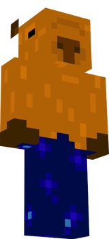 kapi2
