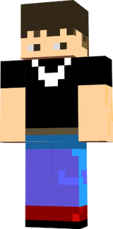 Ervin