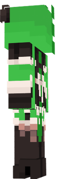 skin