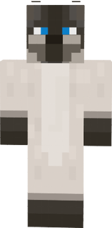 siamese cat