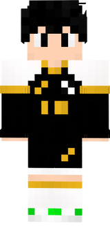 Real Wall
