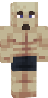 sd