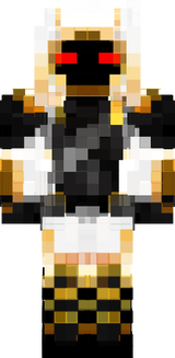 ninja entity