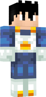 Flashreverso1234