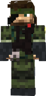 minha skin de ggr 1