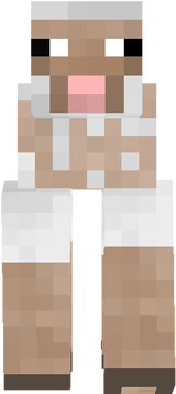 sheep2