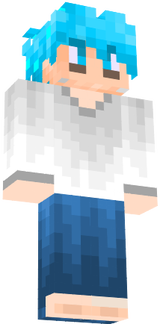 skin 1