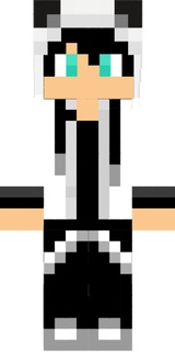 aaa