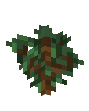  Spruce Sapling