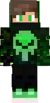 skin