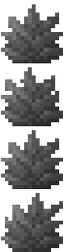 fern