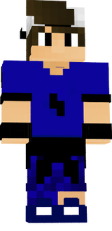 skinstopro