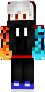RICARWINS
