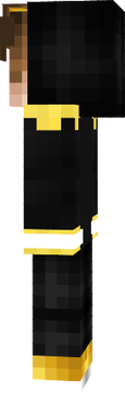 The Skin