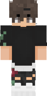 qdqd