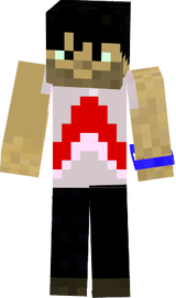 ArcangamerZ SKIN