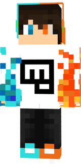 zgzdfz