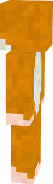 HAMSTER
