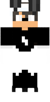 skinim