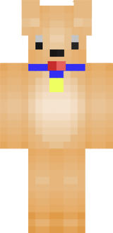Leo1337