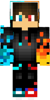 skin