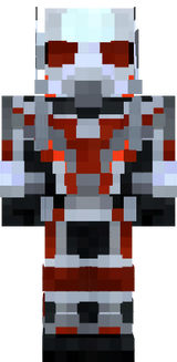 homen formiga