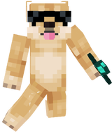 steve