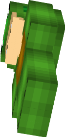 HirroTurtle