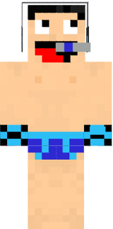 skin minecraft