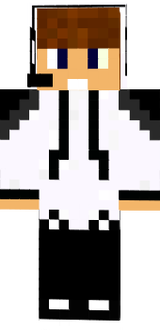3.3