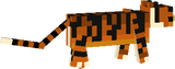 Ocelot