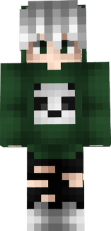 vadichek