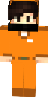 Prisons the wector
