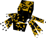 spider