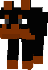 Pinscher