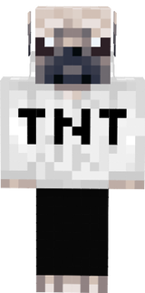pug tnt hoodie