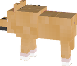 fd