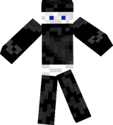 White ninja