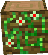 Tropen