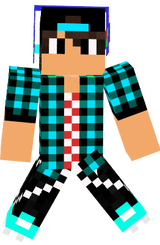 skin
