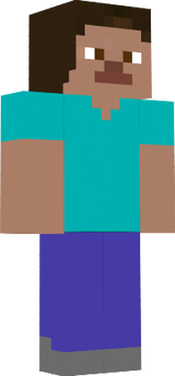 steve