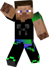 fin