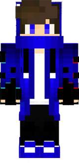 skin