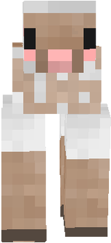 cute shep