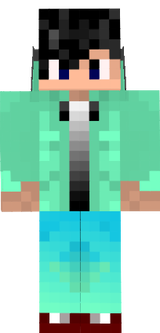minecraft the skin