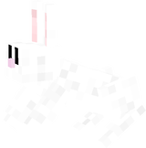white bunny
