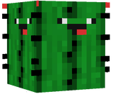 DERPP CACTUS