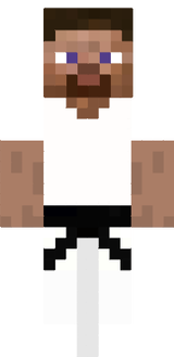 ninja steve